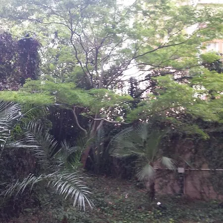 Le Palme Appartamento